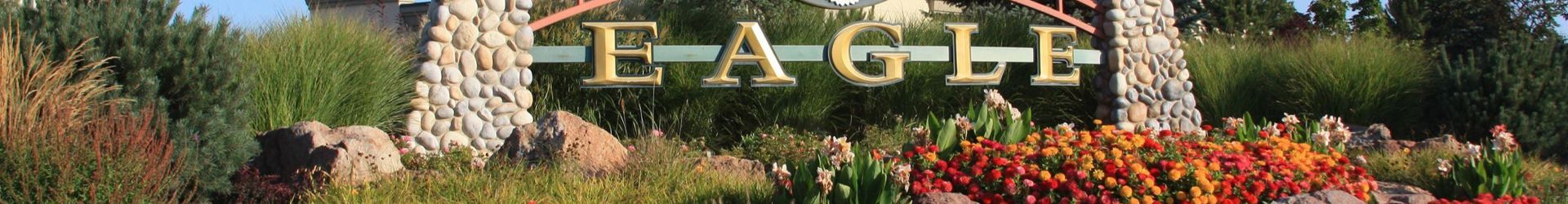Eagle Banner