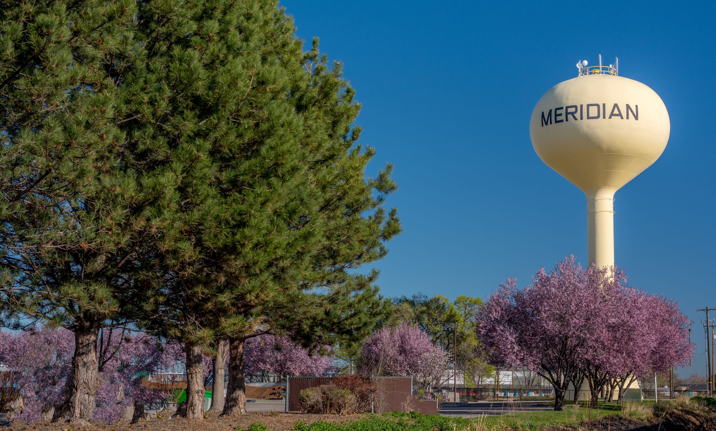 Meridian, ID
